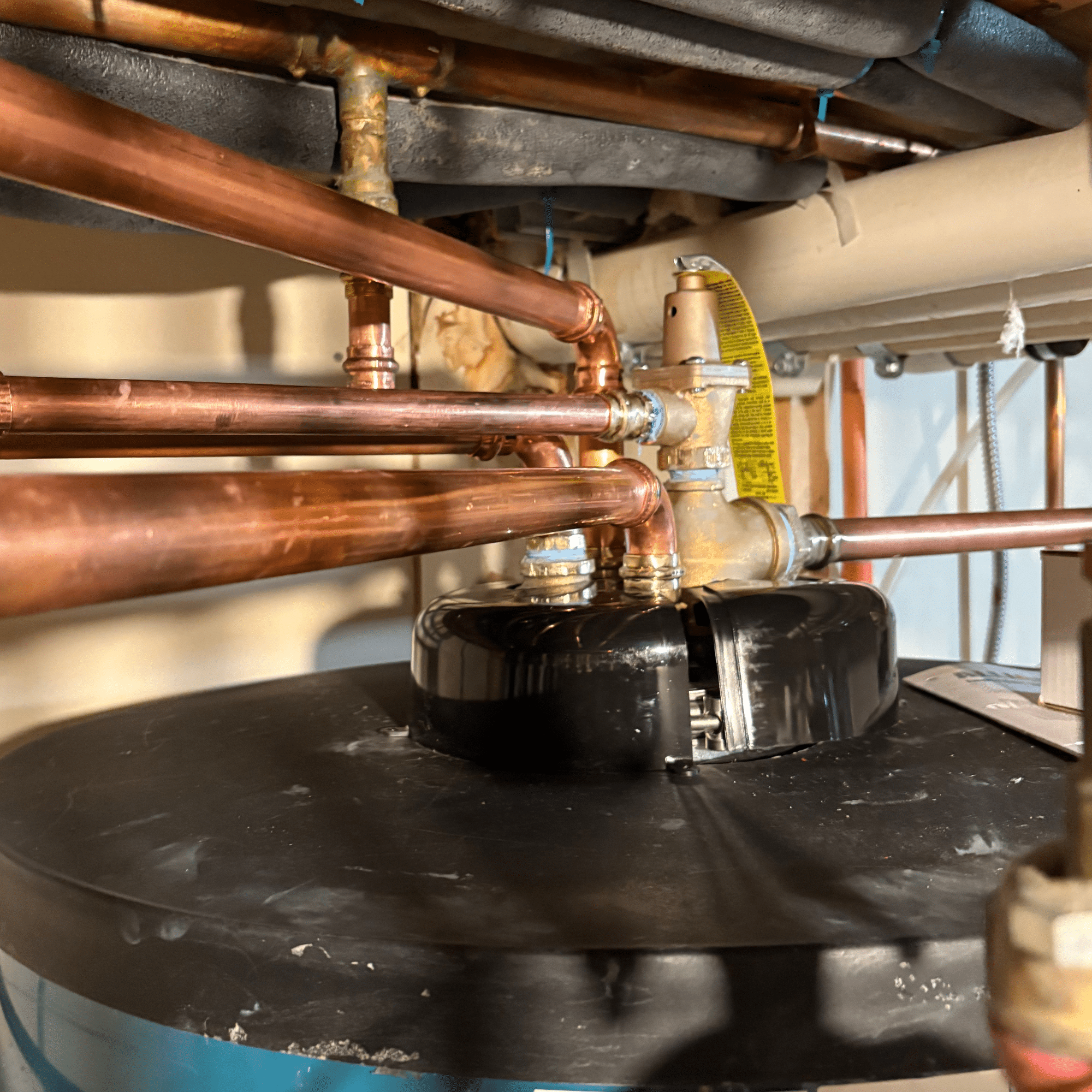 Professional Boiler Diagnostic