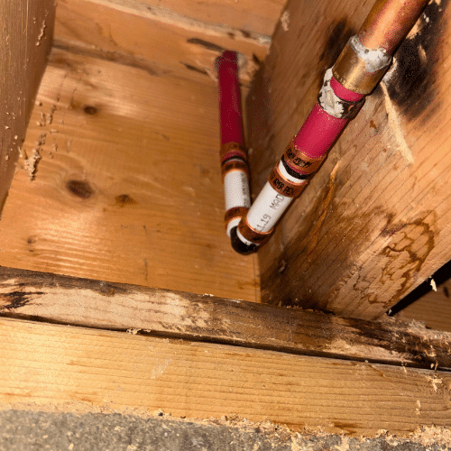 Active leak found on red PEX water line causing moisture damage to wood framing inside a Millcreek wall cavity.
