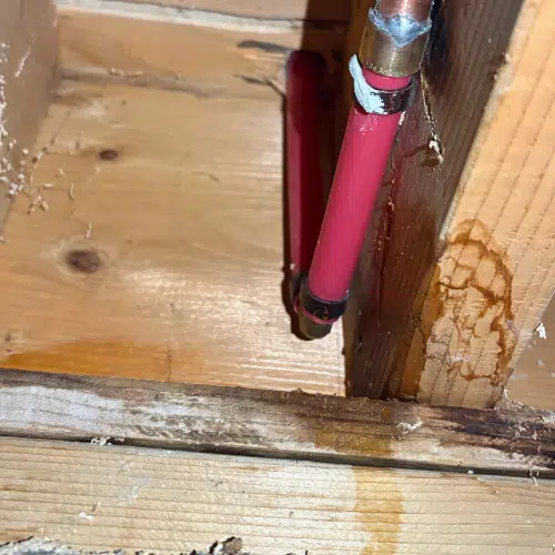Active leak found on red PEX water line causing moisture damage to wood framing inside a Millcreek wall cavity.