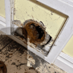 Camera inspection during a Sandy drain cleaning service