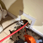 Camera inspection during a Sandy drain cleaning service