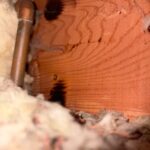 Copper supply stub and insulation in tight framing where long-term hose bib leak left stains in Sandy basement